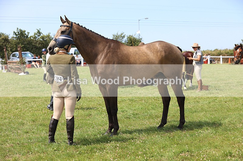 JPP_3398 - Class 22: Working Hunter 70cm