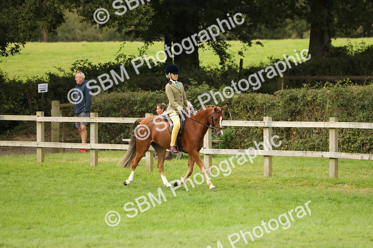 SBM_71638 - S41 - Ridden Equitation (Best Rider)