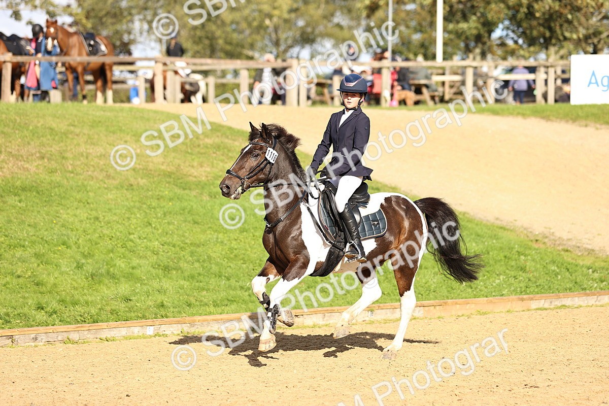 SBM_51306 - J10 - Junior Pony 75cm Championship