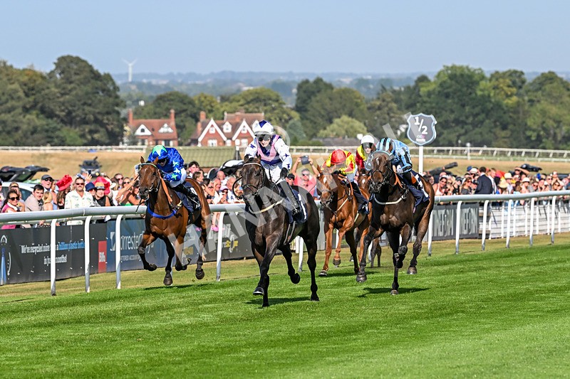 130825-Race 6-Time Tells All-9334 - Race 6