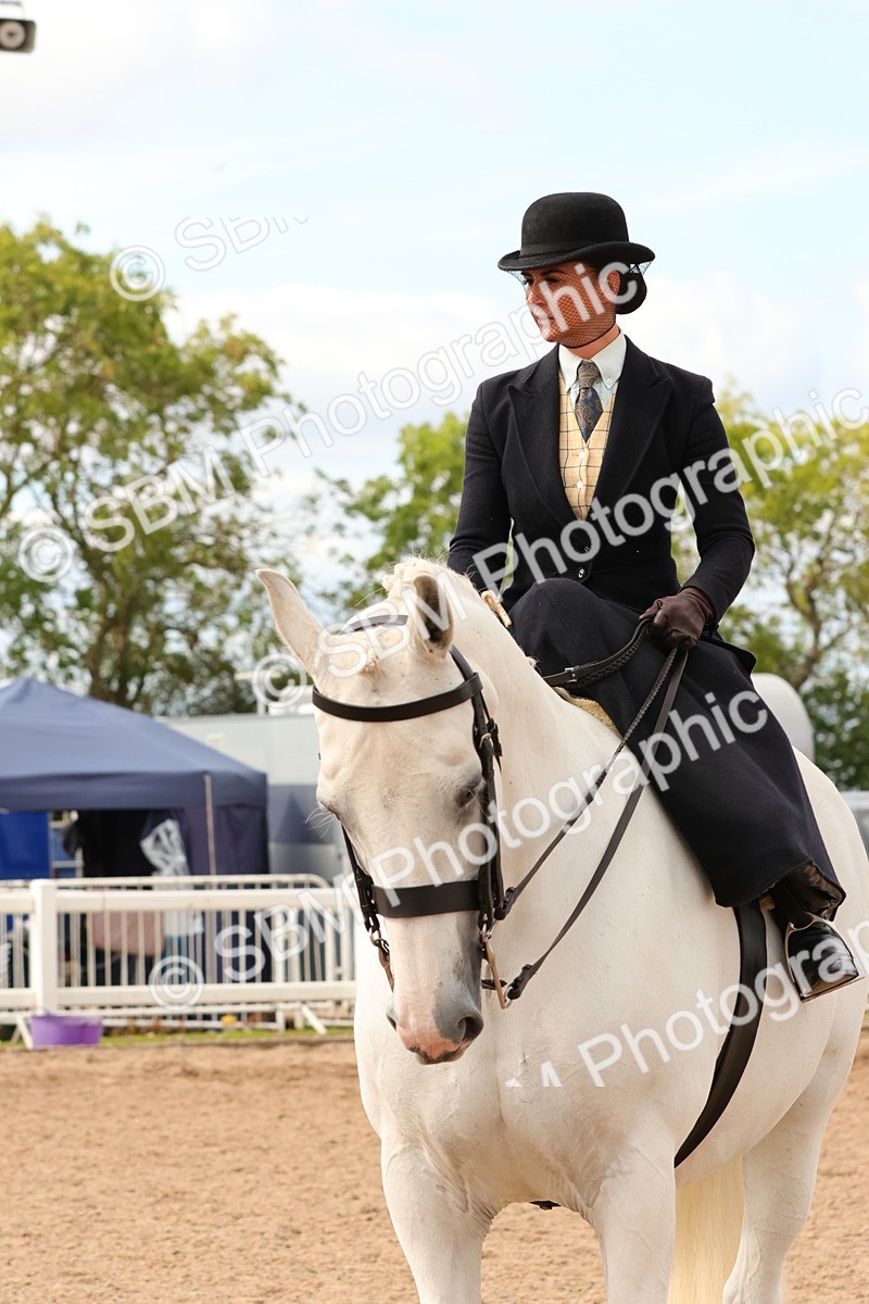SBM_15890 - Class 216 - Best Side Saddle Horse-Pony