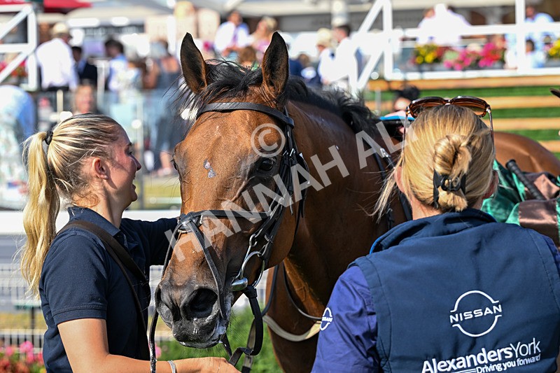 110726-Race 7-Magic Boy-8900 - Race 7 17.30pm John Smith's Sprint Handicap