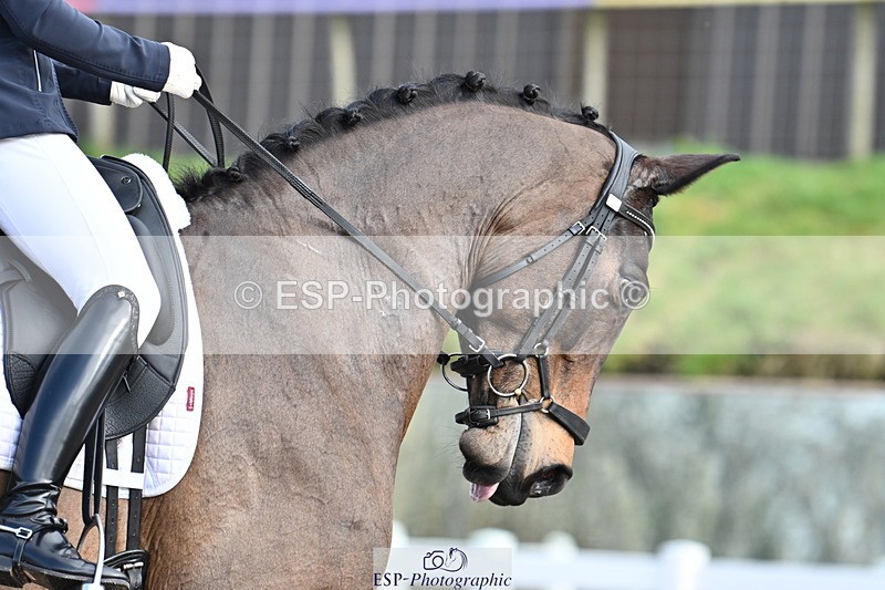 240218A-125256-07459 - 164-Anna.Johannson-Kapellmeister