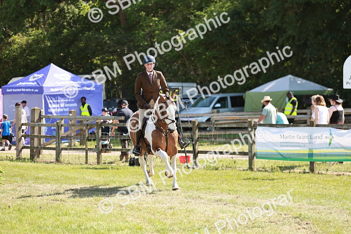 SBM_18803 - Class 114 - RIHS & SEIB Open Working Show Horse