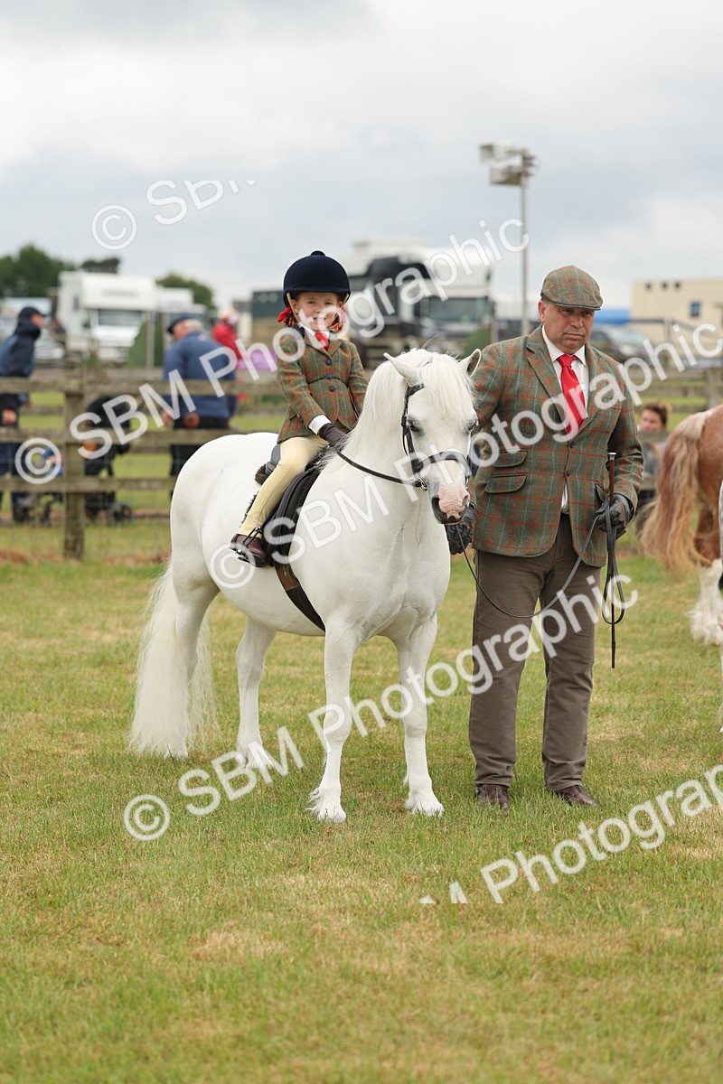 SBM_06746 - Class 74-75 - M&M Lead Rein and First Ridden Pony