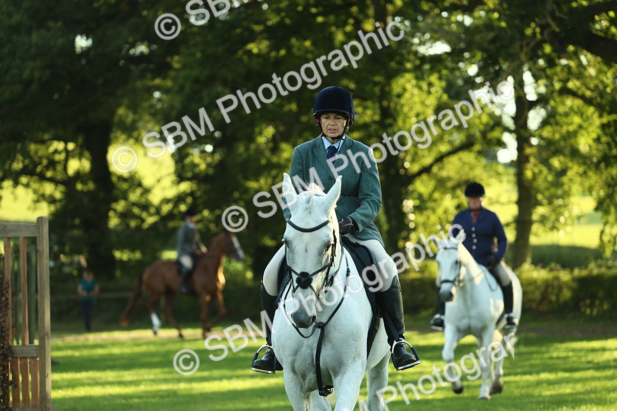 SBM_55527 - S14 - Riding Club Horse
