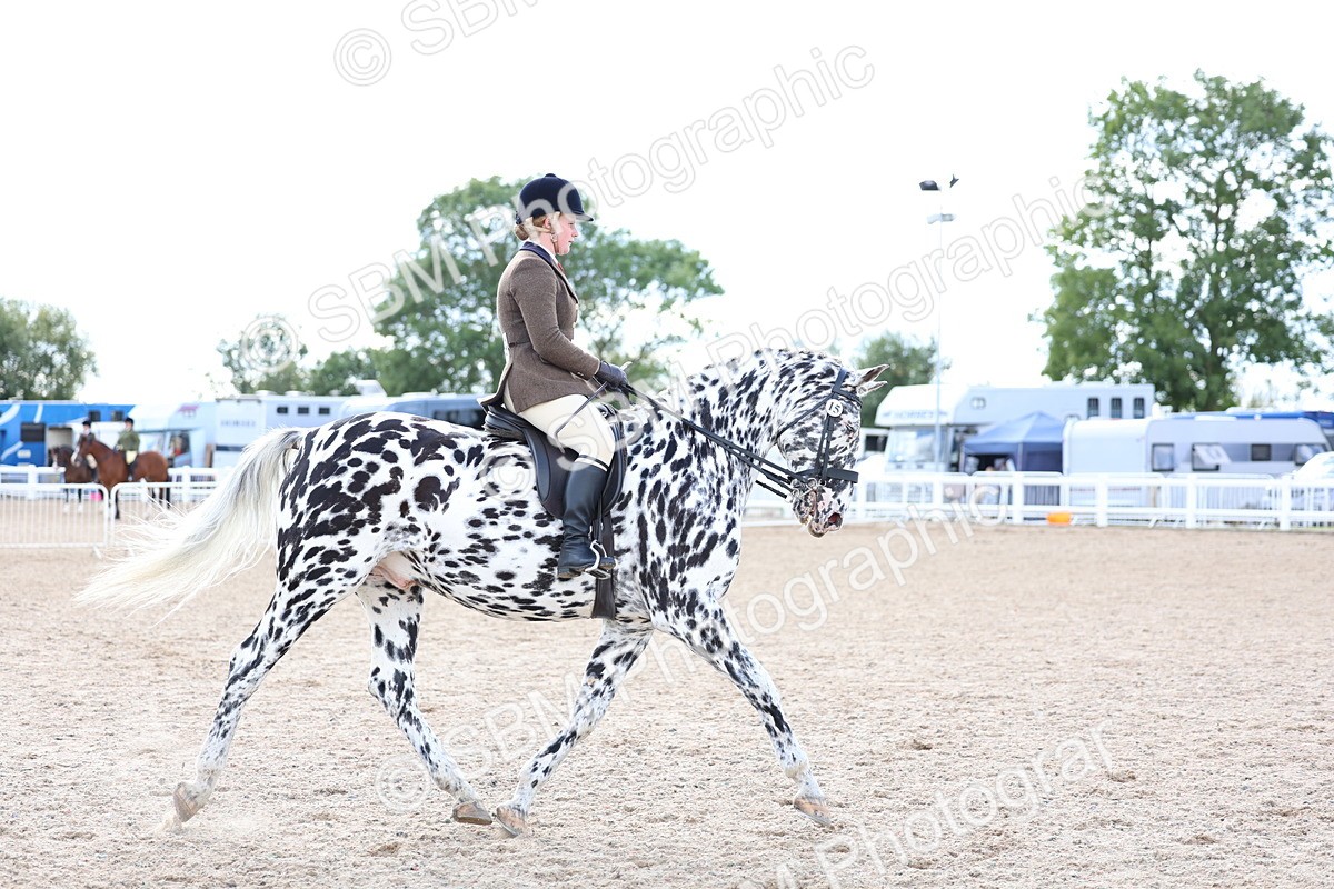 SBM_17245 - Class 315 - Best Horse - Rider Combination