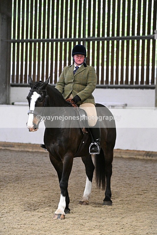 WJ7_3917 - Class 17 Ridden Cob