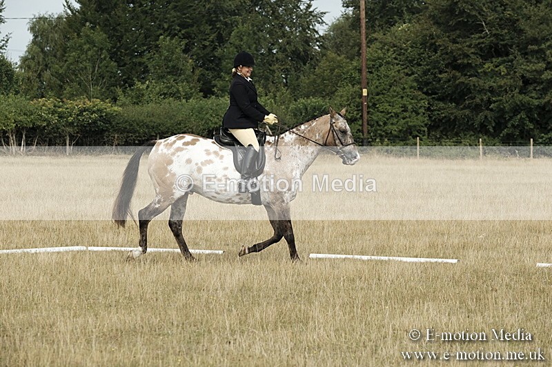 _PJP5702 - Dressage Classes BVRC Show 2018