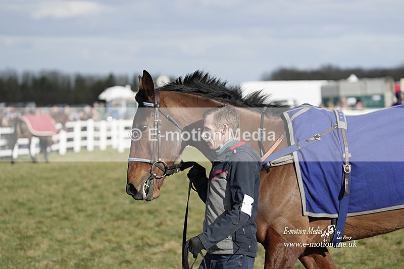 PtP 260223 871 - South & West Wilts Point-to-Point Larkhill 26/02/23