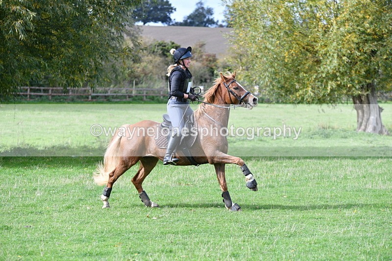 WJ5_0123 - Time 13:25 to 13:58