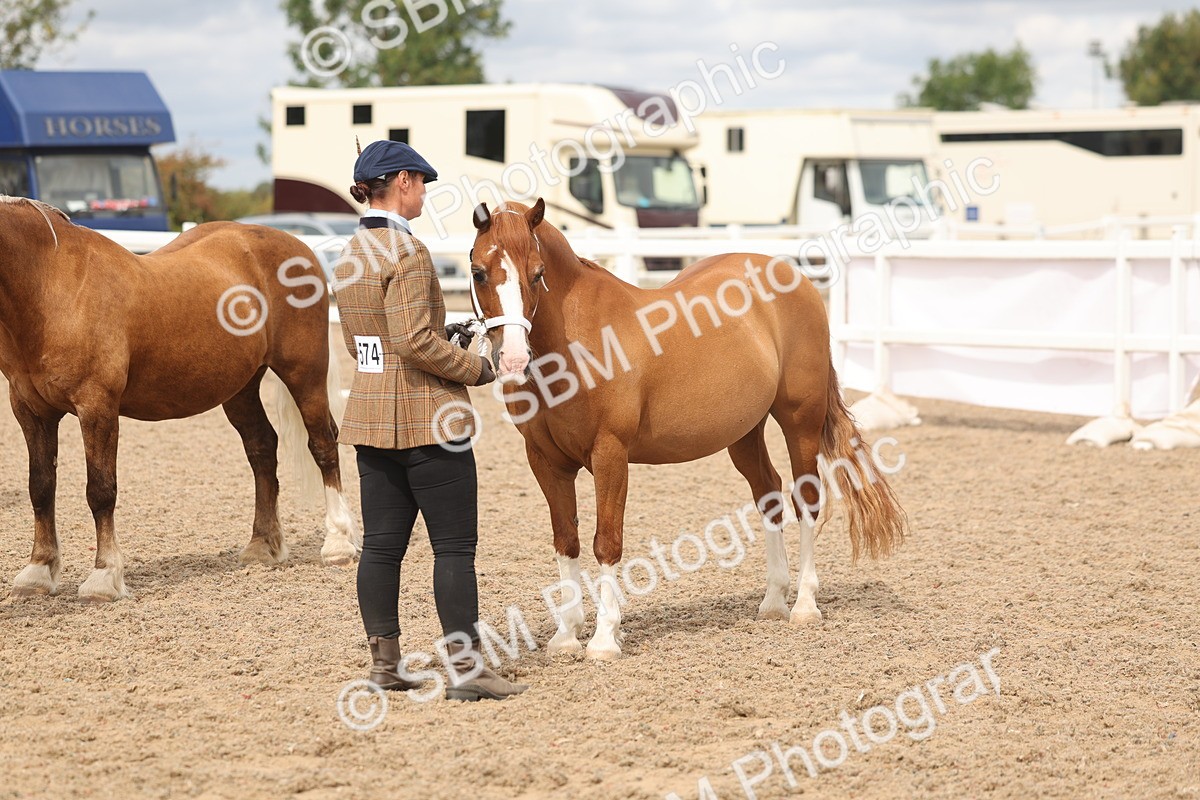 SBM_05014 - Class 20 - IH Veteran