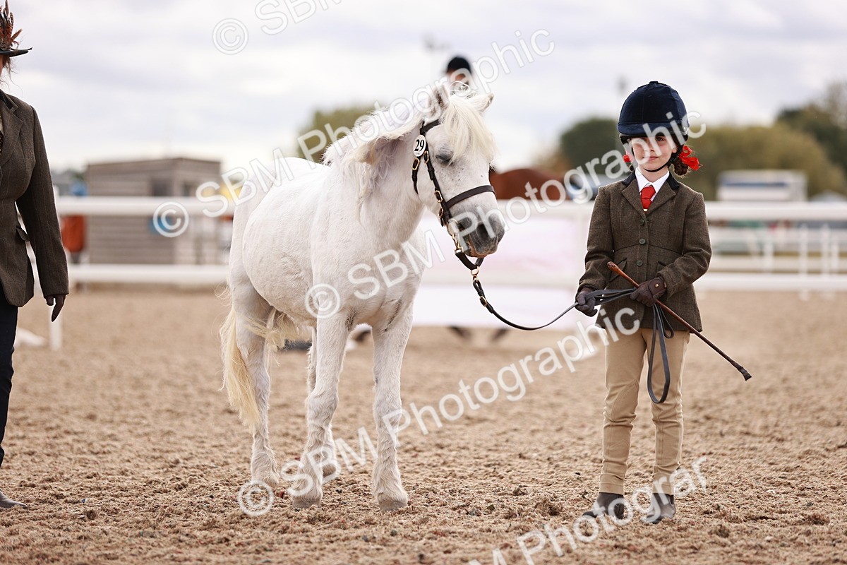 SBM_18439 - Class 419 - Best Maine and Tail - Jnr