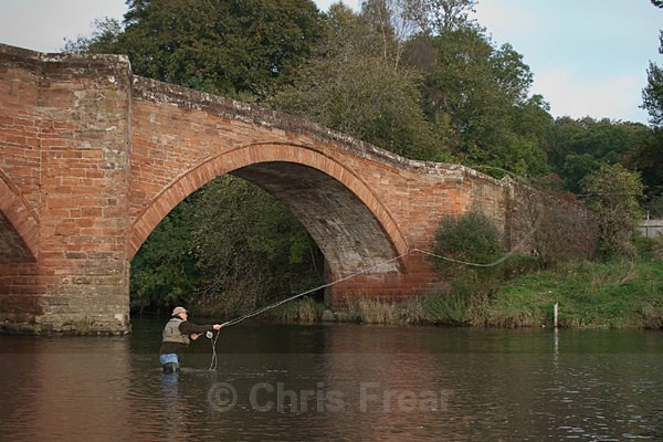 mnaa-1409 - Flyfishing Photography