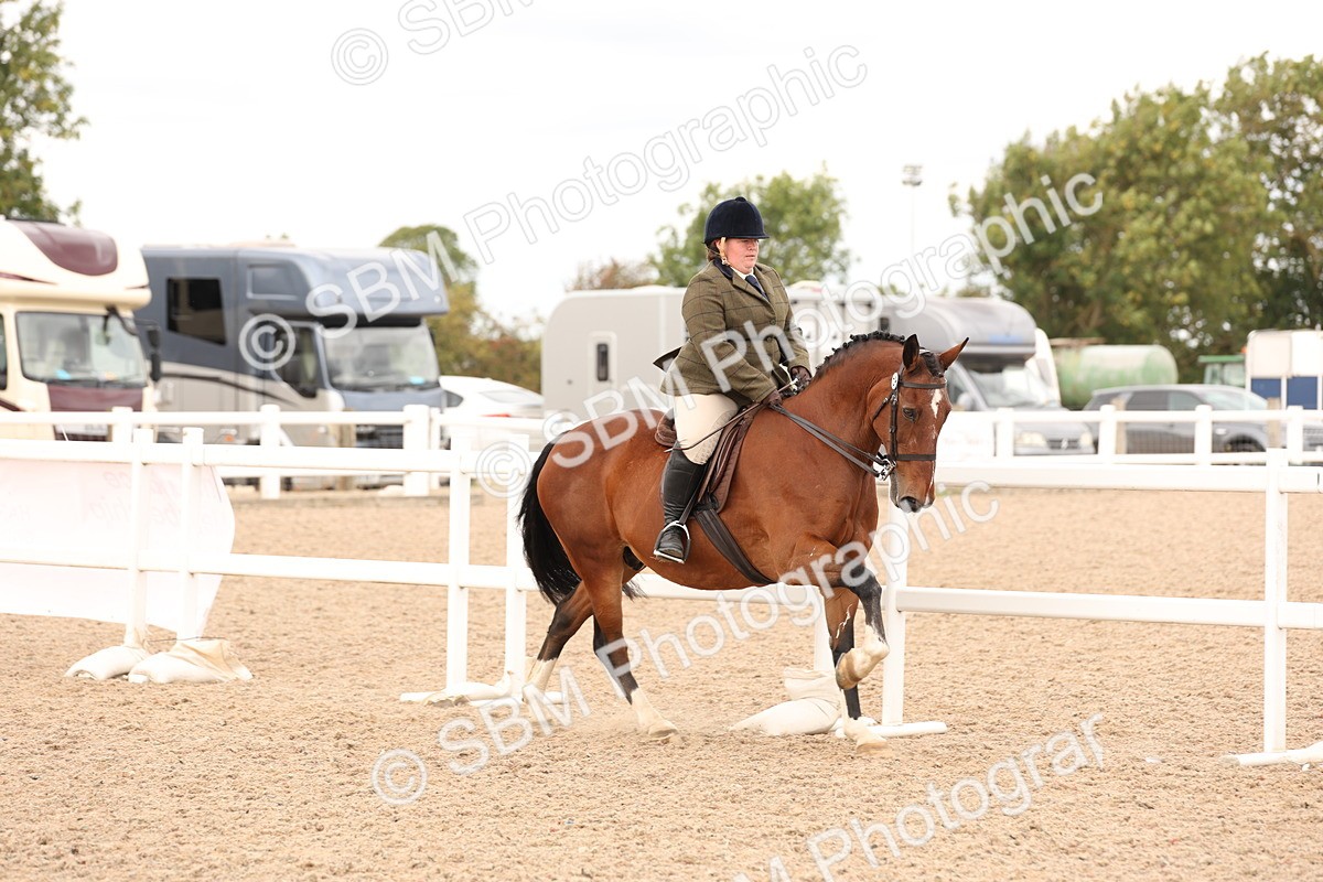 SBM_16486 - Class 212 - Ridden Hunter - Small
