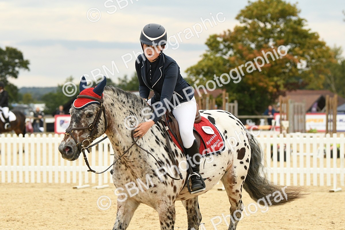 SBM_73105 - J16 - Junior Pony 75cm Championship