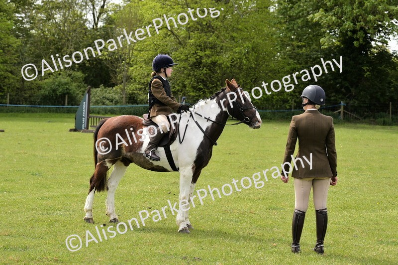 20260426-2398 - Class 21 - Working Hunter Ponies