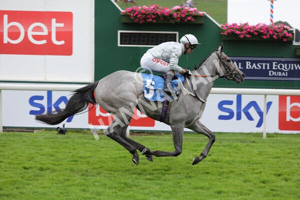 yr24072021r4-24 - Race 4 3.50pm Sky Bet Britain's Most Popular Online Bookmaker EBF Restricted Novice Stakes (Plus 10