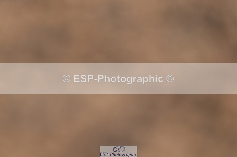 260626-191409-01160 - Cls 9 Winter-Summer