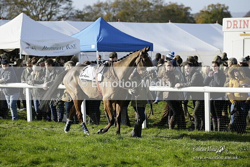 PtP 250921 089 - Point-to-Point Badbury Rings Dorset 07/11/2021