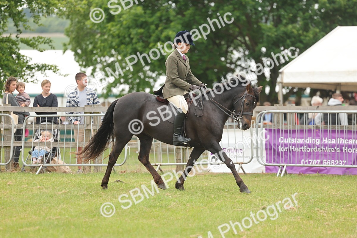 SBM_09090 - Class 78-80 - Ridden M&M Non Welsh Ponies