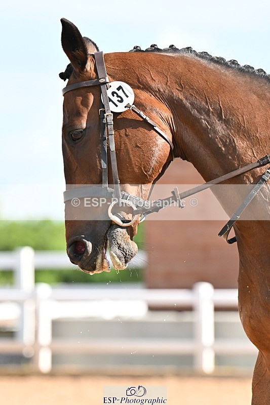 240622A-085429-07288 - Cls 1 Intro A