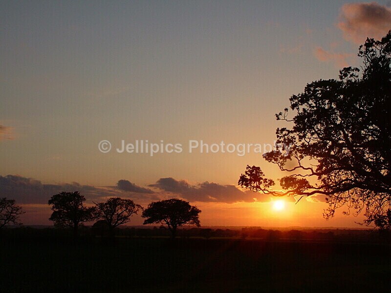  - Landscapes