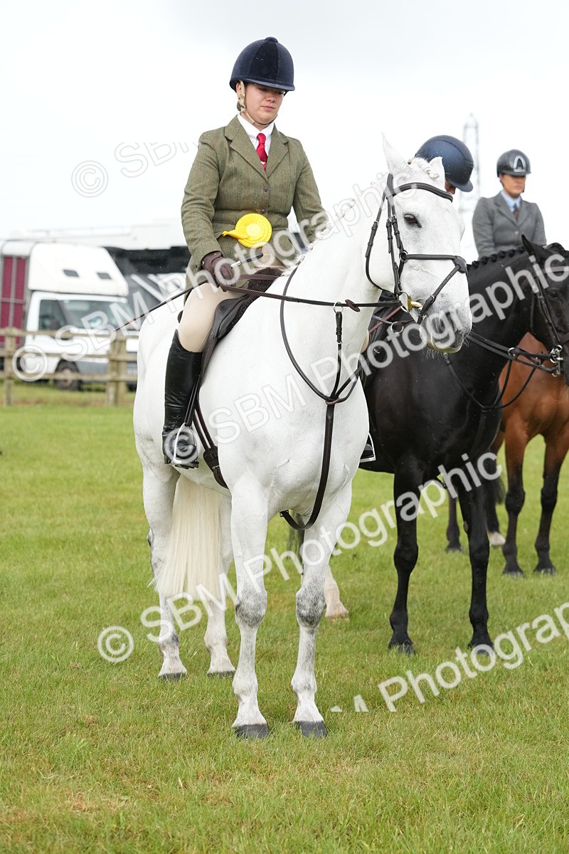 SBM_12804 - Class 97-98 - LIHS BSHA Rising Star Working Show Horse Hunter