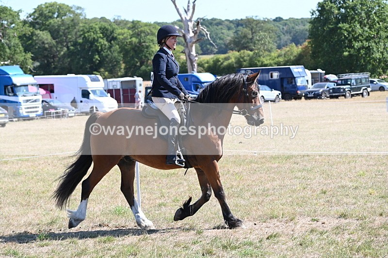 WJ6_8232 - Class 37a Best Loan Pony Ridden