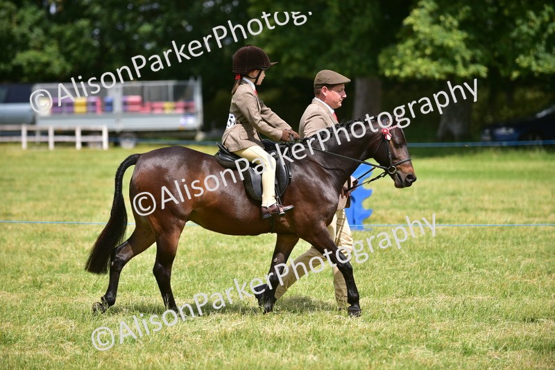 20260614-1354 - Class 11b - Lead Rein Pony (Plaited)