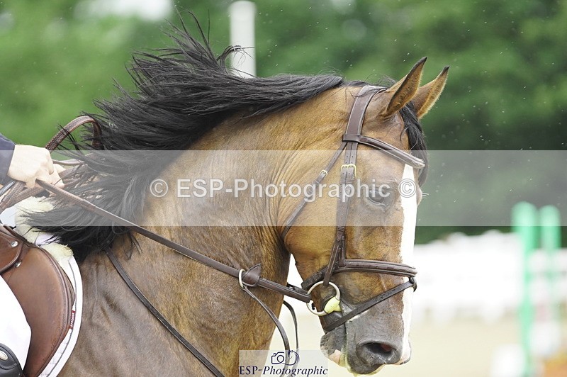 230729A-100942-04580 - Cls 20 British Novice & 90cm Open