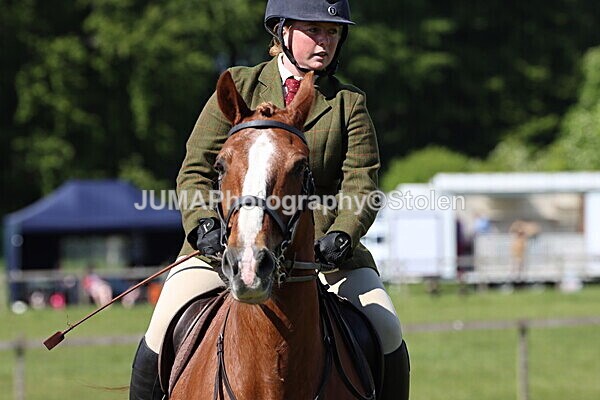 IMG_4665 - Working Hunter