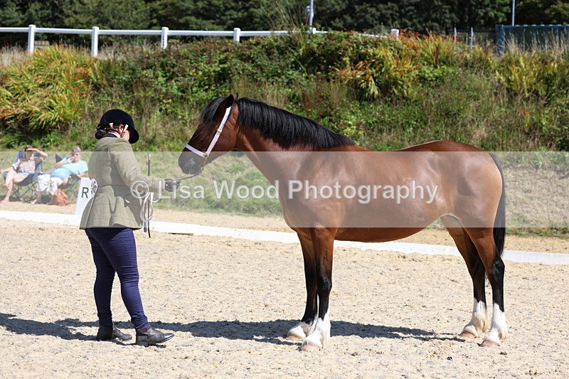 3E7A9635 - Class 32: Best Grass Kept