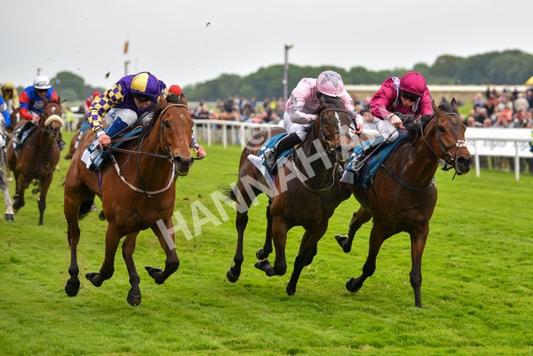 190523-Race 6-Eligible-1024 - Race 6 4.45pm Yorkshire Equine Practice Handicap