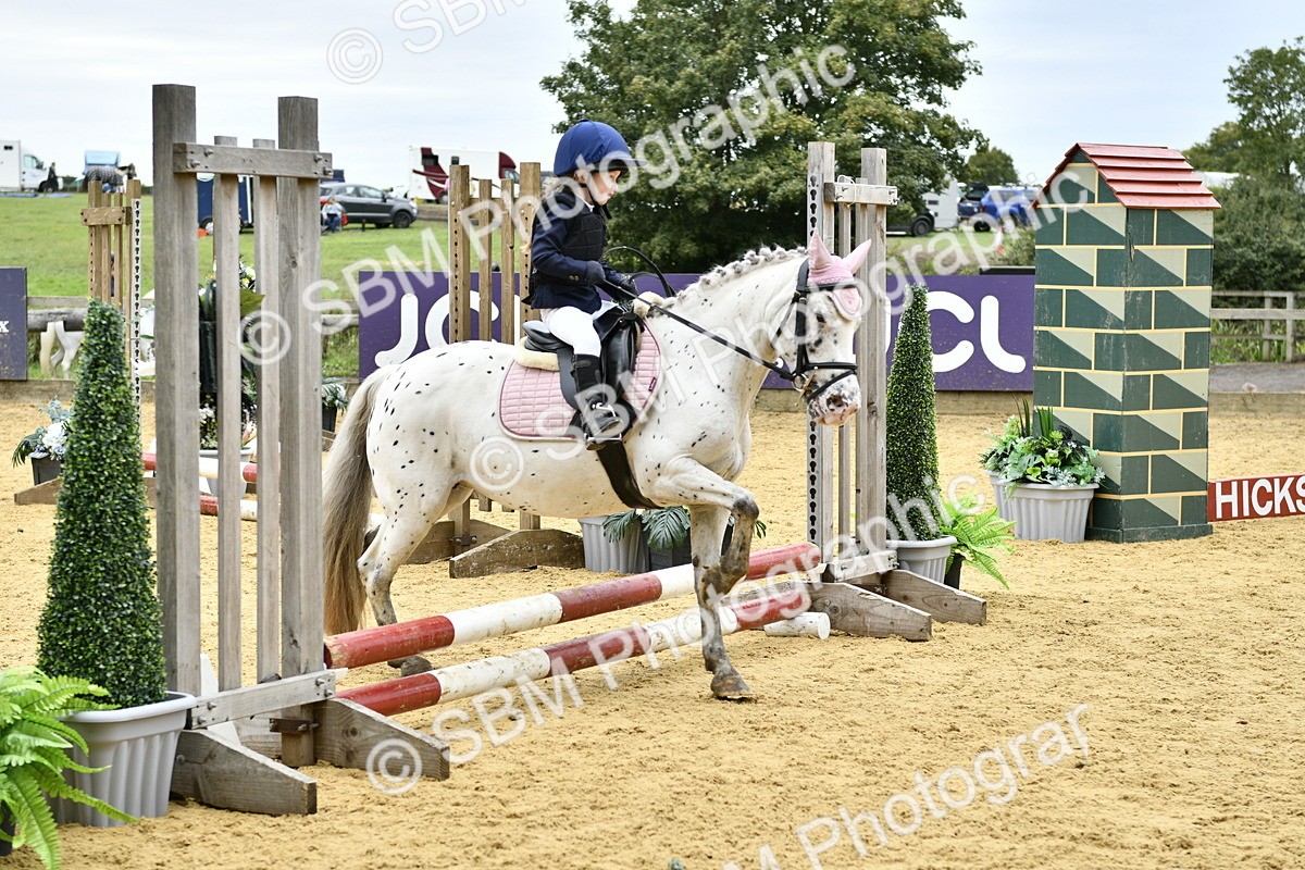 SBM_66154 - J2a mini Tour Junior Pony 30cm Championship