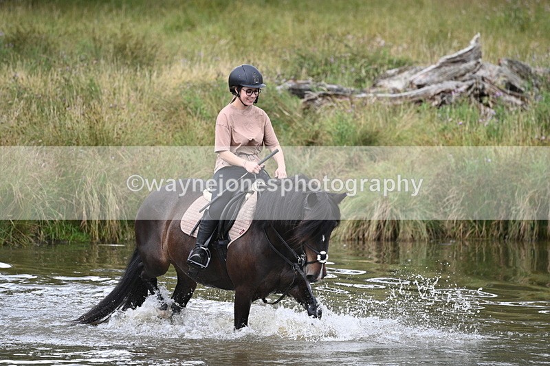 WJ7_4279 - Time at Water 12:52 to 13:22