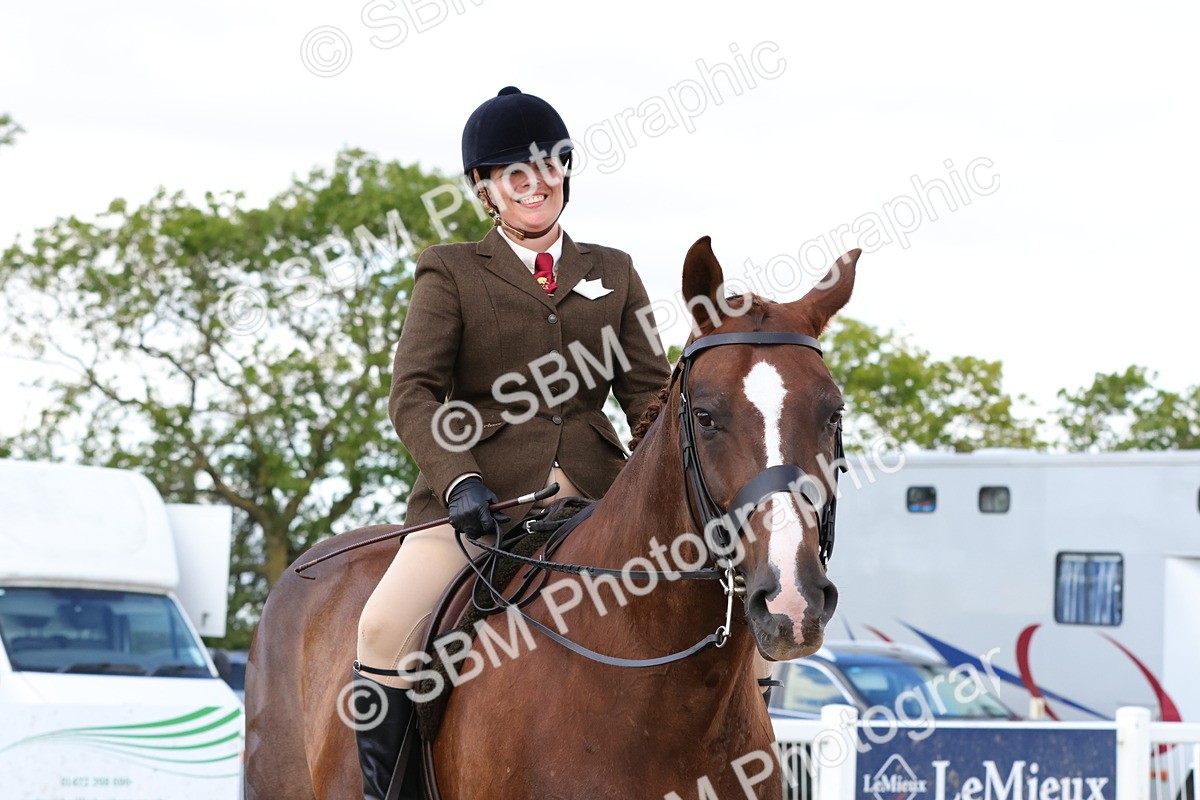 SBM_13537 - Class 212 - Ridden Hunter  - Large