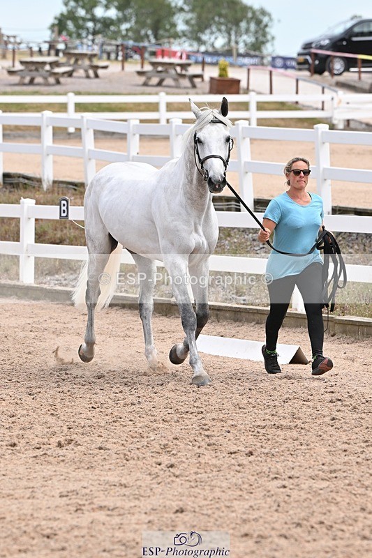 250716-142227-01048 - Trot Up 1.30 to 2.30