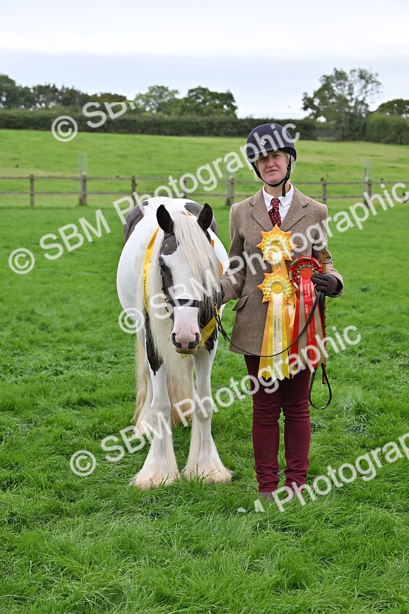 SBM_65058 - In Hand Pony & Younstock Supreme Championship