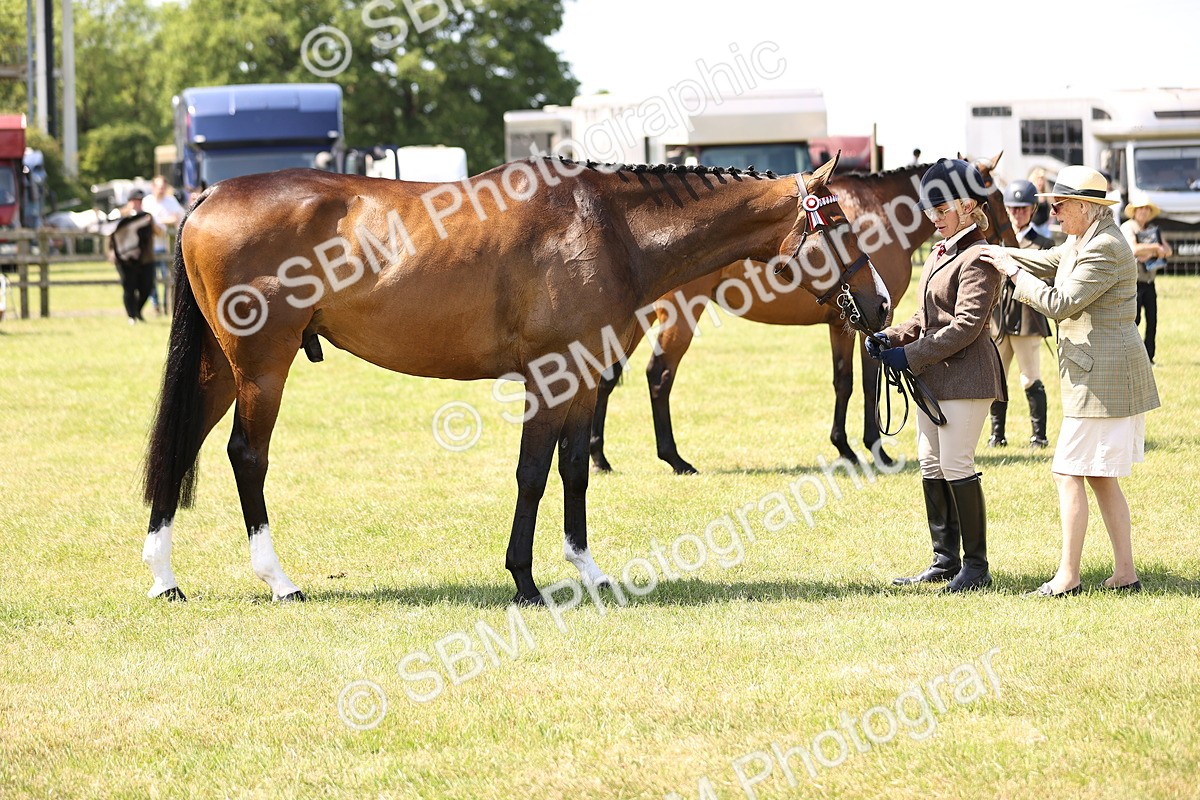 SBM_14969 - Class 78 - LIHS BSHA Open Racehorse & Show Horse