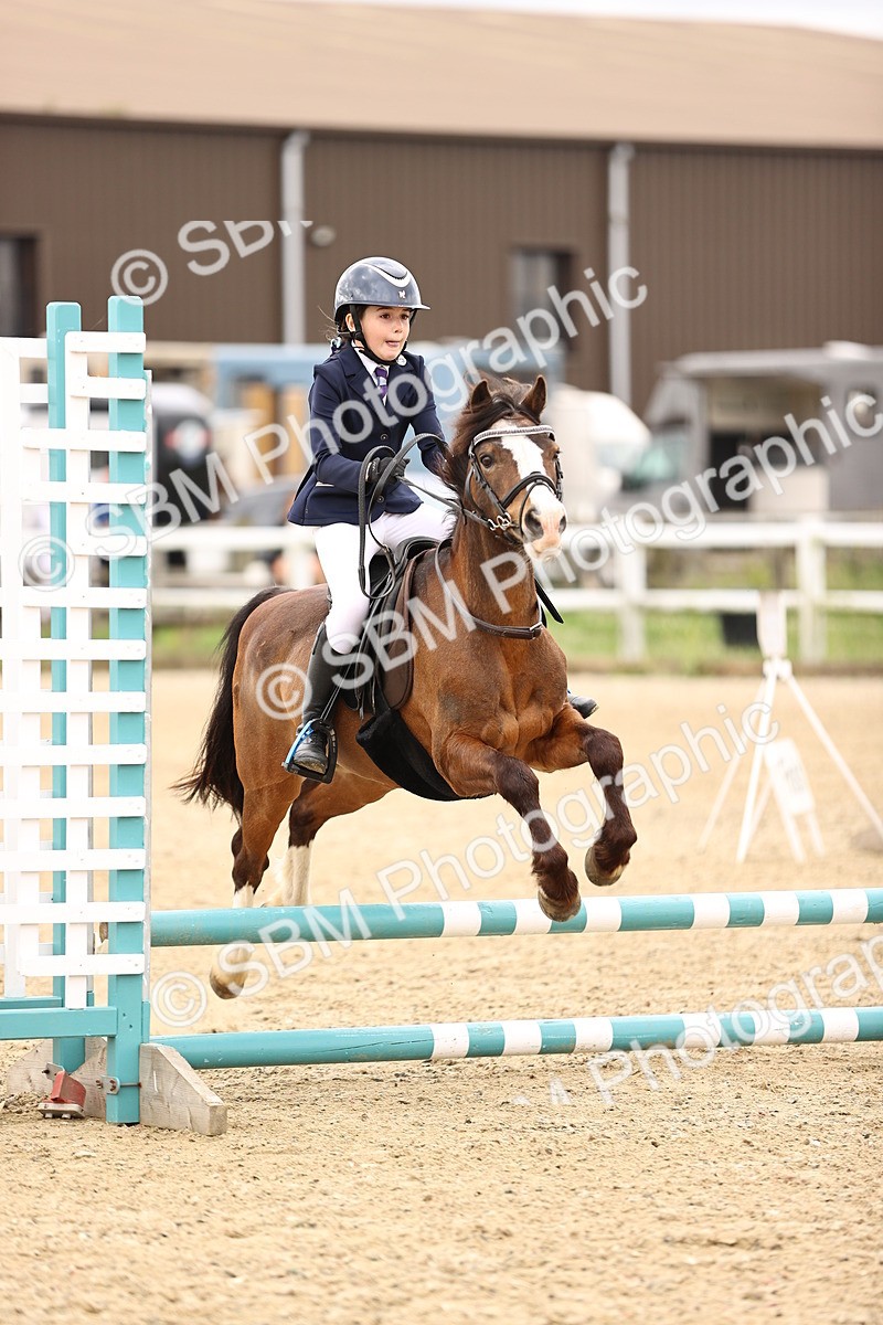 SBM_000128 - 50cm
