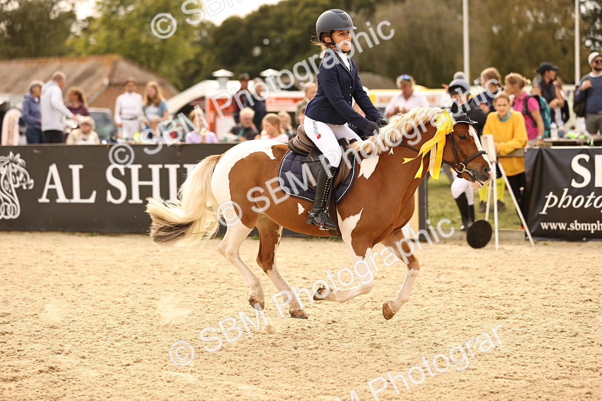 SBM_70880 - J13 - Junior Pony 60cm Championship
