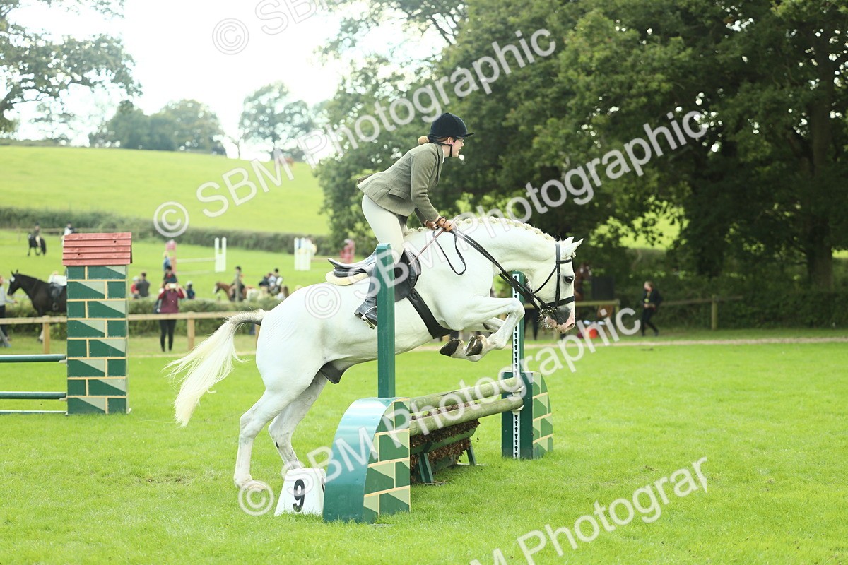 SBM_47944 - S32 - Novice & Newcomers Working Hunter