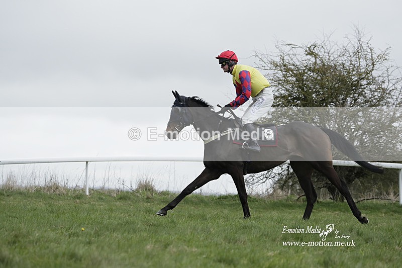 PtP 260323 0707 - New Forest Hounds Point-to-Point Larkhill 26/03/23
