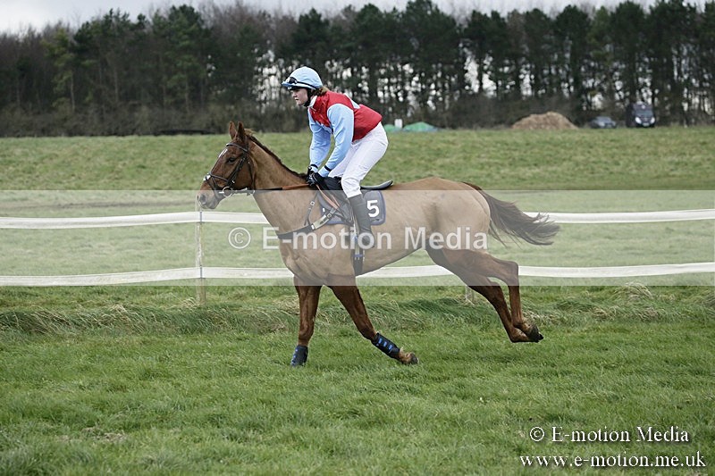 PtP 031217 358 - Hursley Hambledon Point-to-Point Larkhill 03/12/17