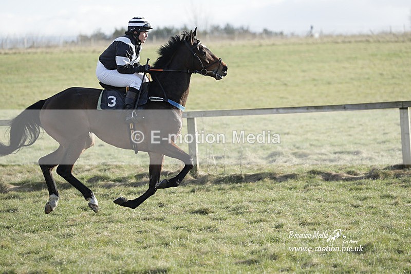 PtP 260223 1129 - South & West Wilts Point-to-Point Larkhill 26/02/23