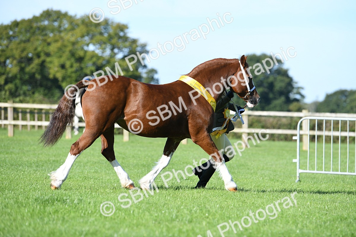 SBM_35559 - Top Turnout Supreme Championship