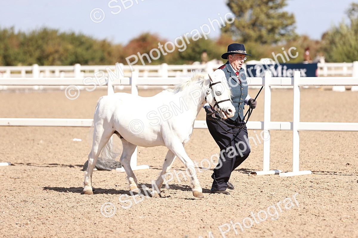 SBM_22894 - Class 706 - IH Veteran