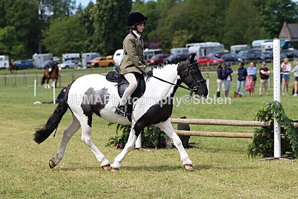 IMG_3363 - Working Hunter
