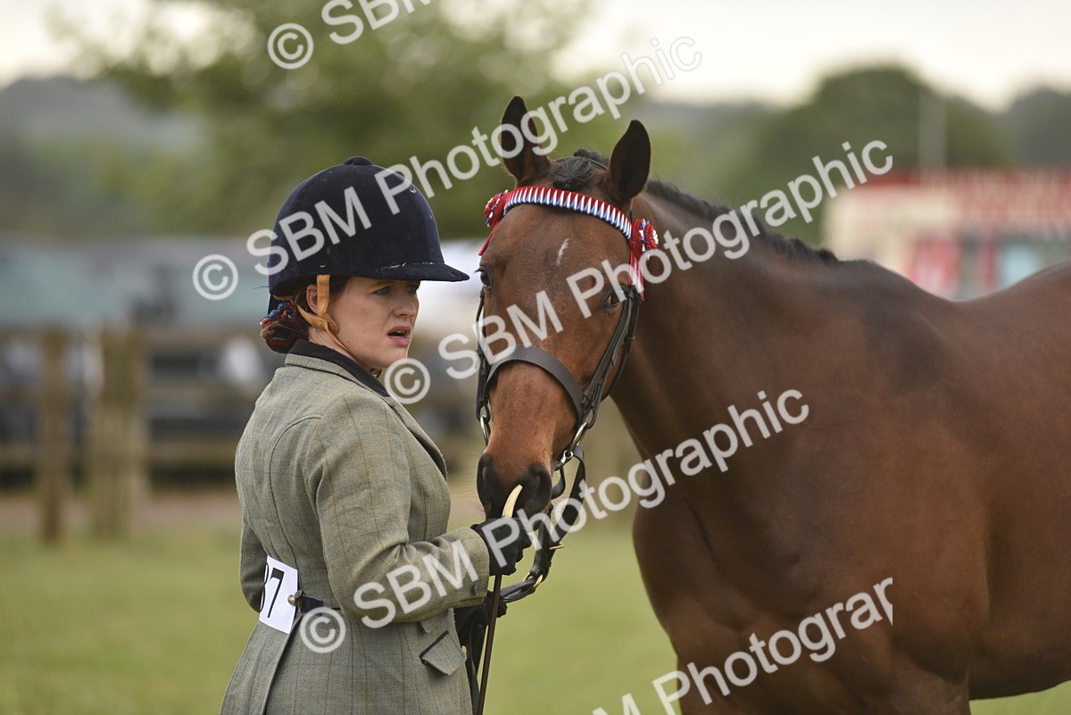 SBM_10668 - Class 109 - Retraining of Racehorses in Hand